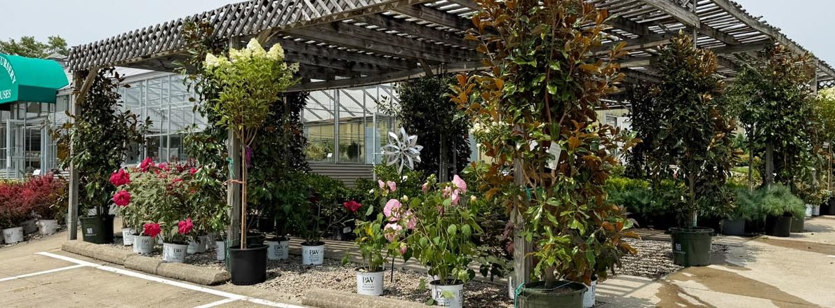 slider-garden-trellis