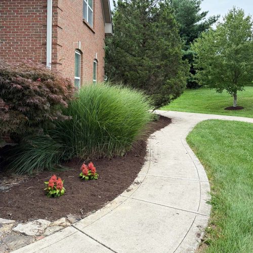 square-mulch-house