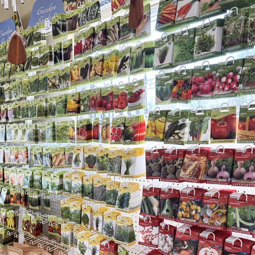 square-seeds-store